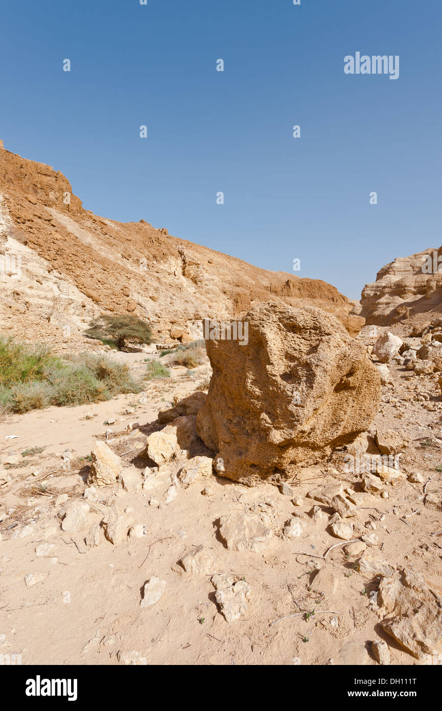 Terra Santa Foto Stock