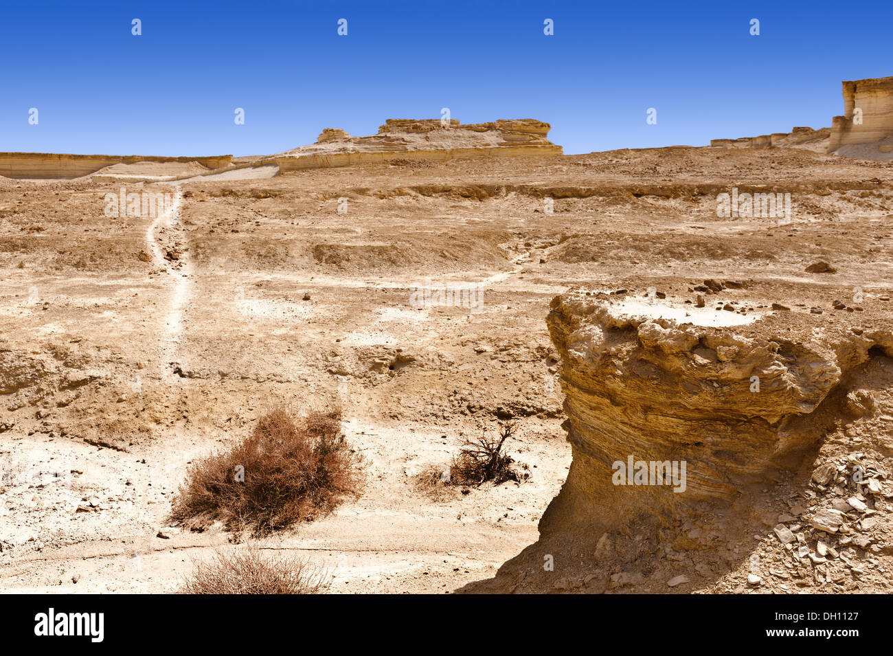 Terra Santa Foto Stock