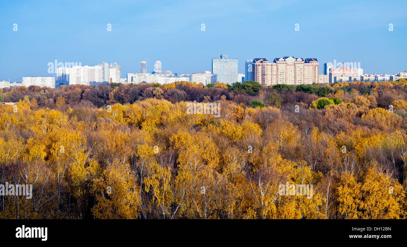 Vista panoramica case urbane, autunno alberi e pomeriggio blu cielo Foto Stock