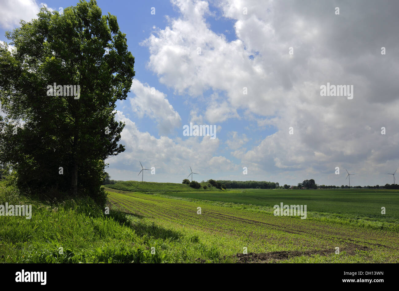 Il grande paese Foto Stock