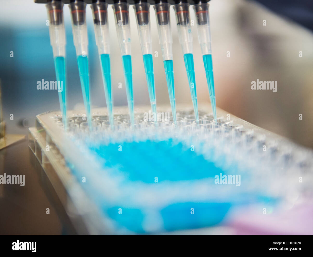 Close up di pipette e provette Foto Stock