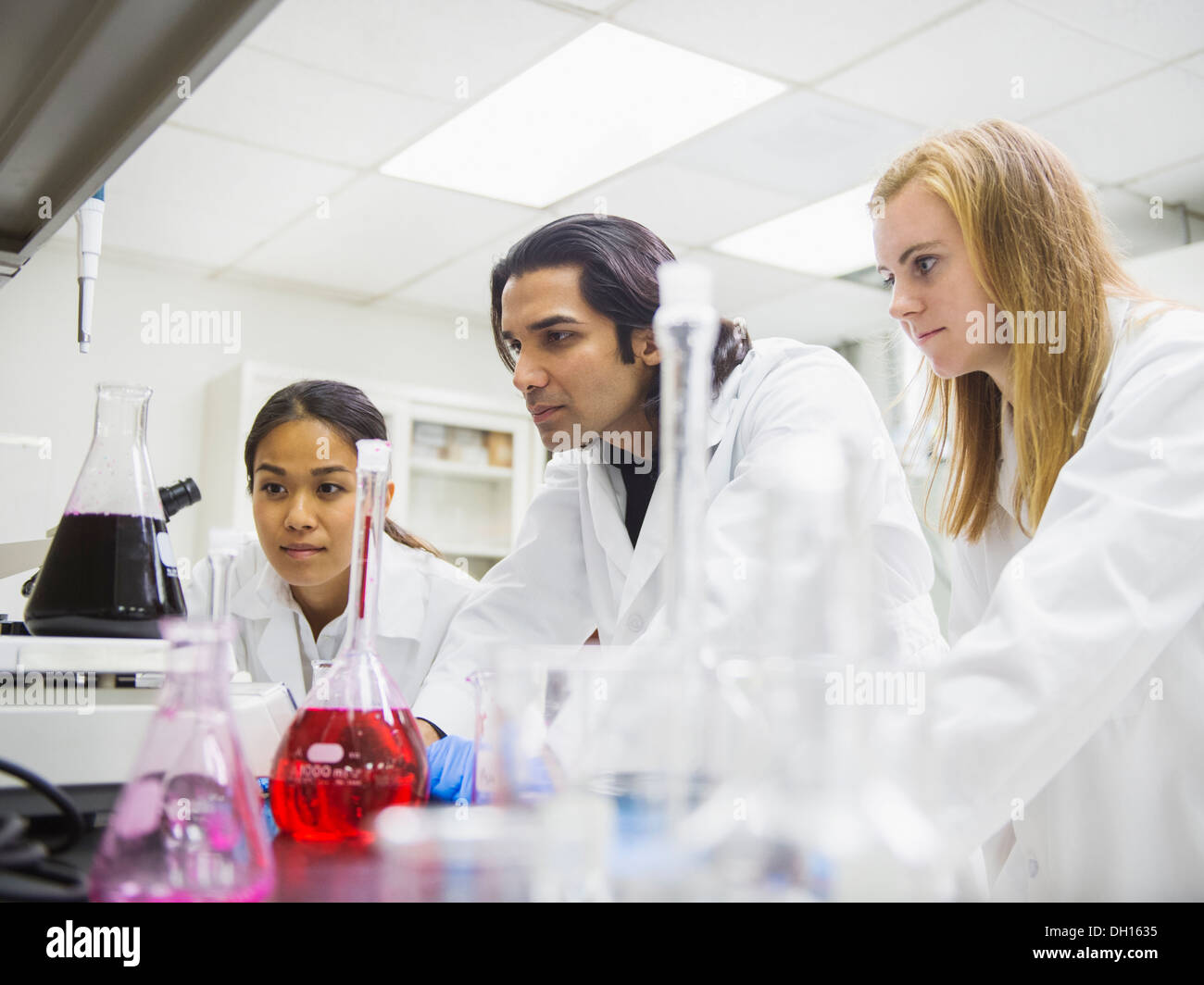 Gli scienziati che lavorano in laboratorio Foto Stock