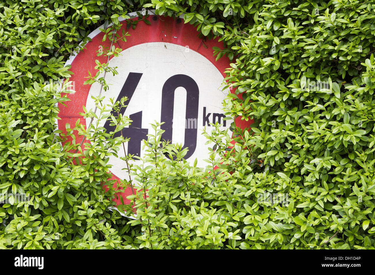 Incolto segno di traffico Foto Stock