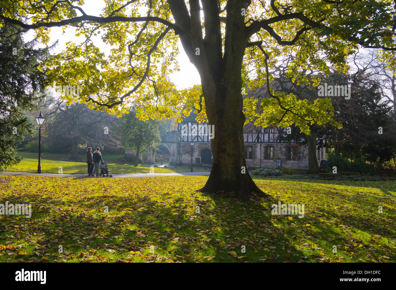 Autunno nel museo giardini, York, Yorkshire, Inghilterra Foto Stock