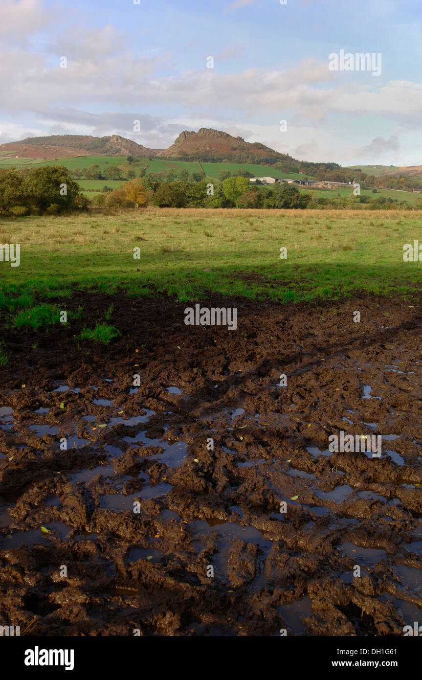 Paesaggio Staffordshire Moorlands Foto Stock