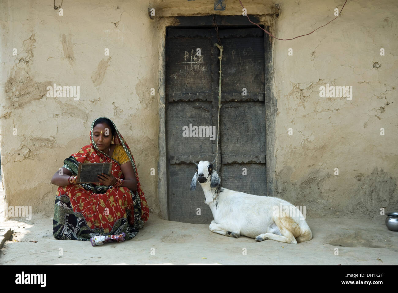 Capra legato alla porta e la donna lo studio Uttar Pradesh India Asia Foto  stock - Alamy