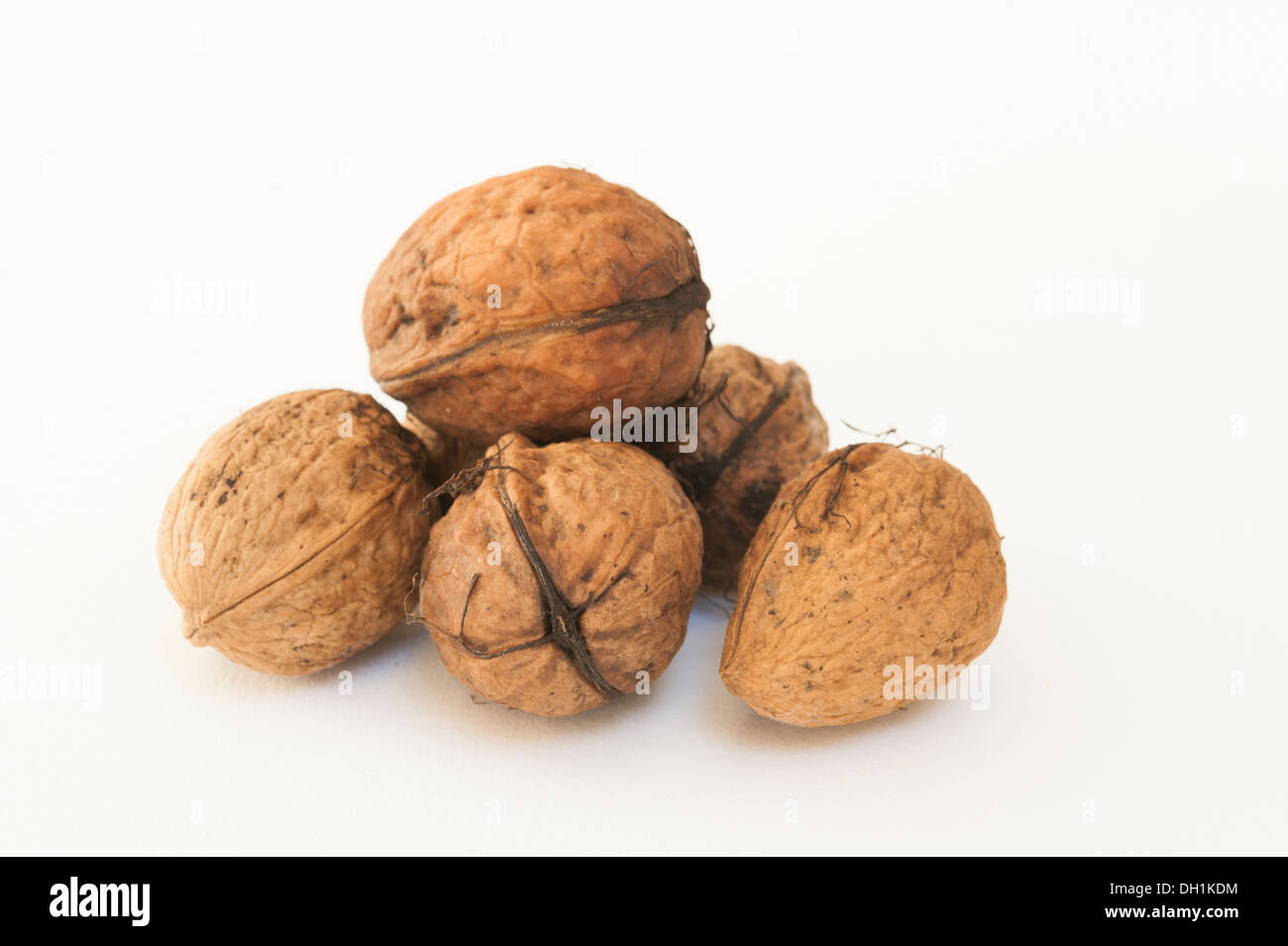 Noci umido su sfondo bianco Foto Stock