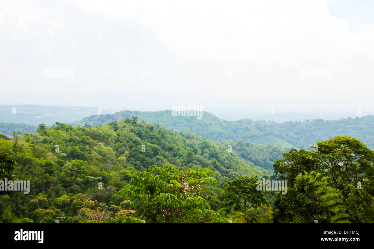 Nebbia di mattina al Tropical Mountain Range,Thailandia Foto Stock