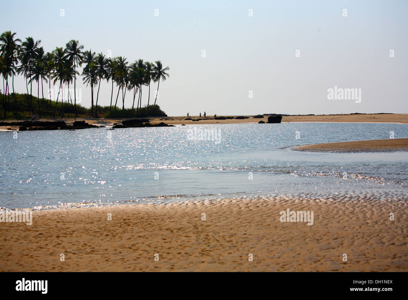 Spiaggia Bhogwe sindhudurg Maharashtra India Asia Foto Stock