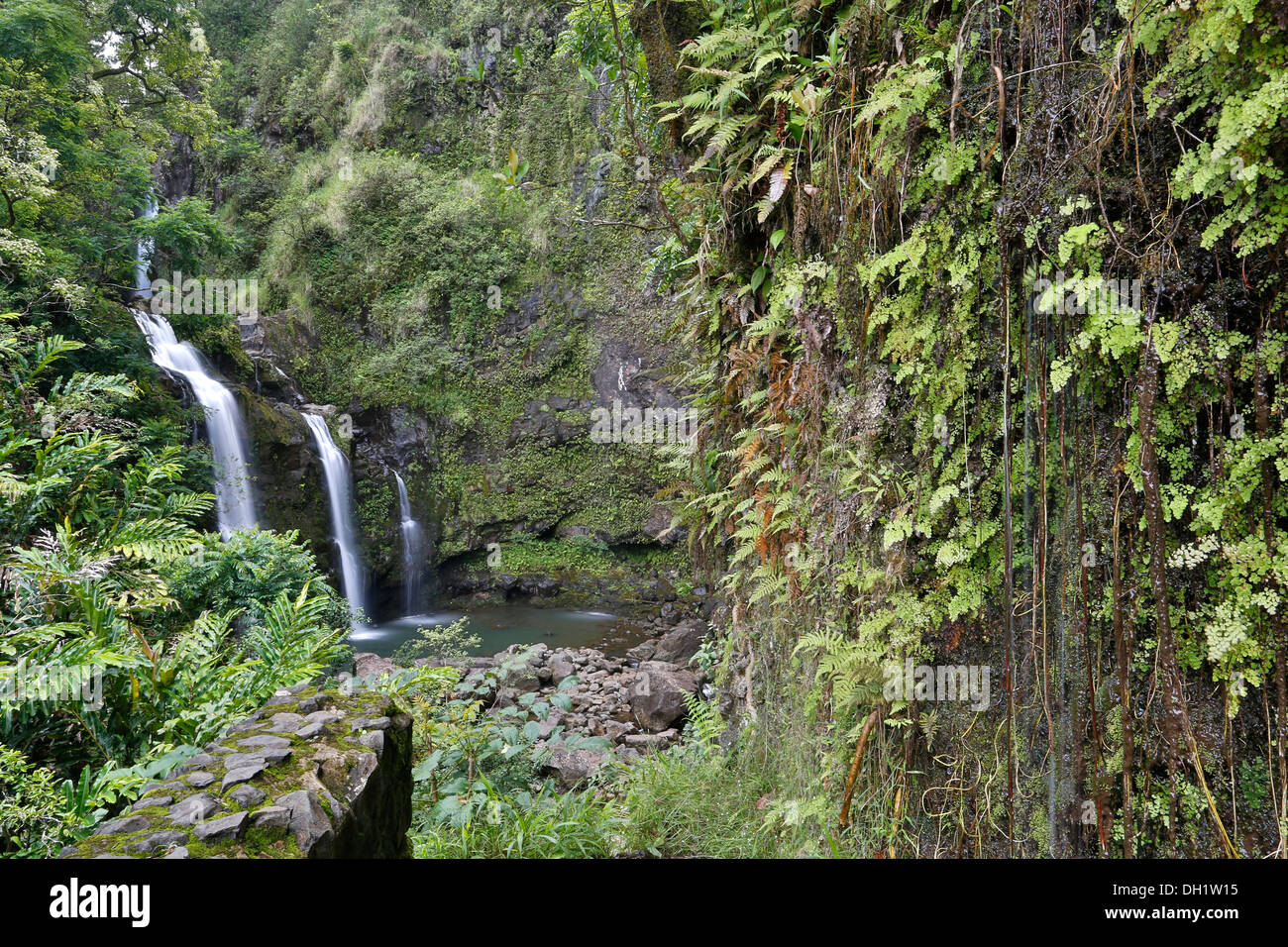 Waikani superiore cade o tre sopportare cadute, cascate sulla strada di Hana, una famosa strada turistica, costa orientale dell'isola di Maui Foto Stock