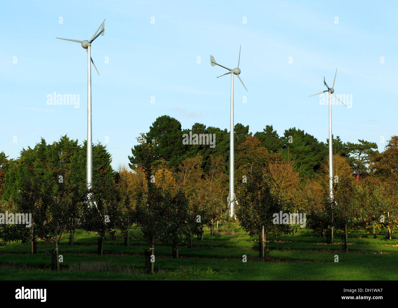 Domestico le turbine a vento, turbina energia verde REGNO UNITO Foto Stock