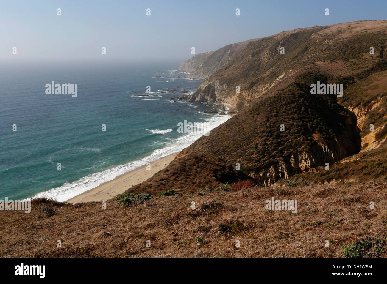 Costa con spiaggia, Point Reyes National Seashore, CALIFORNIA, STATI UNITI D'AMERICA Foto Stock