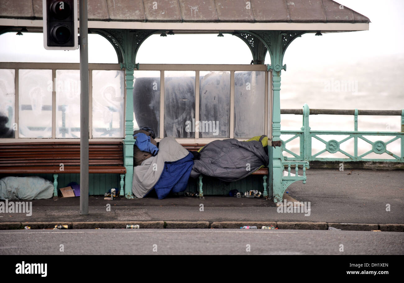 Traversina ruvida in sacco a pelo in Brighton Seafront rifugio durante il giorno Foto Stock