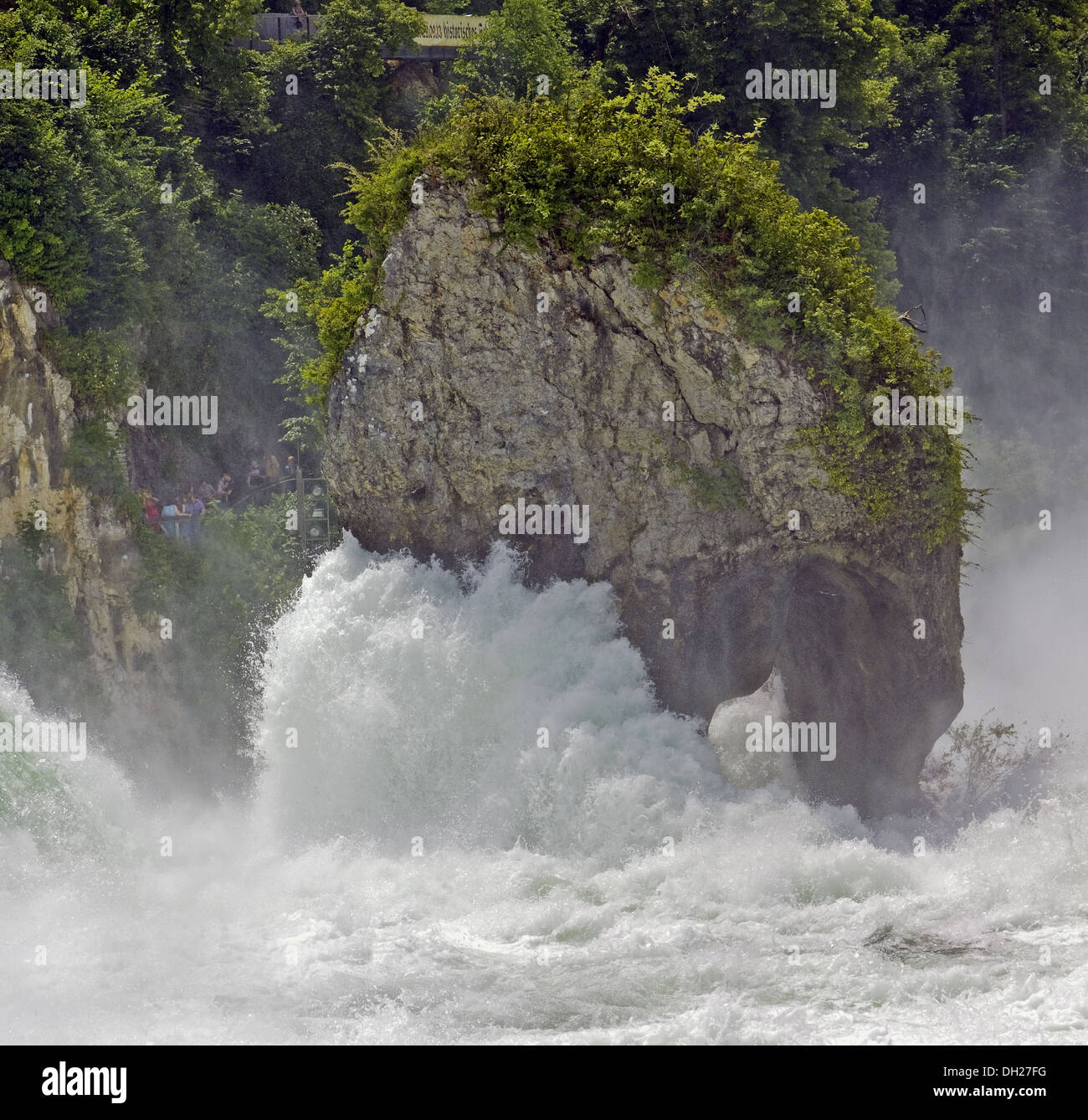 Roccia delle cascate del Reno di Sciaffusa Foto Stock