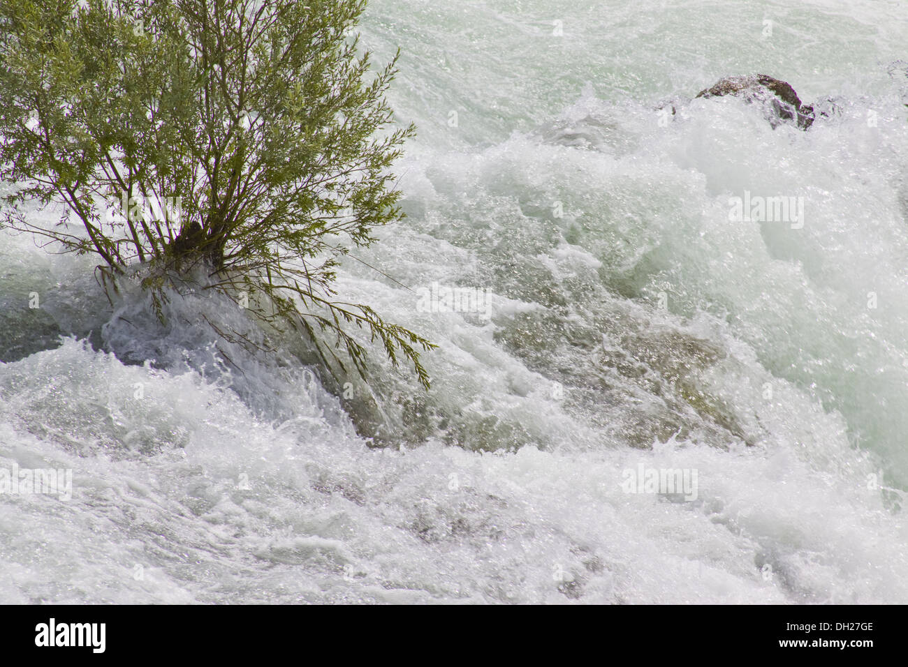 Cascate del Reno di Sciaffusa Foto Stock