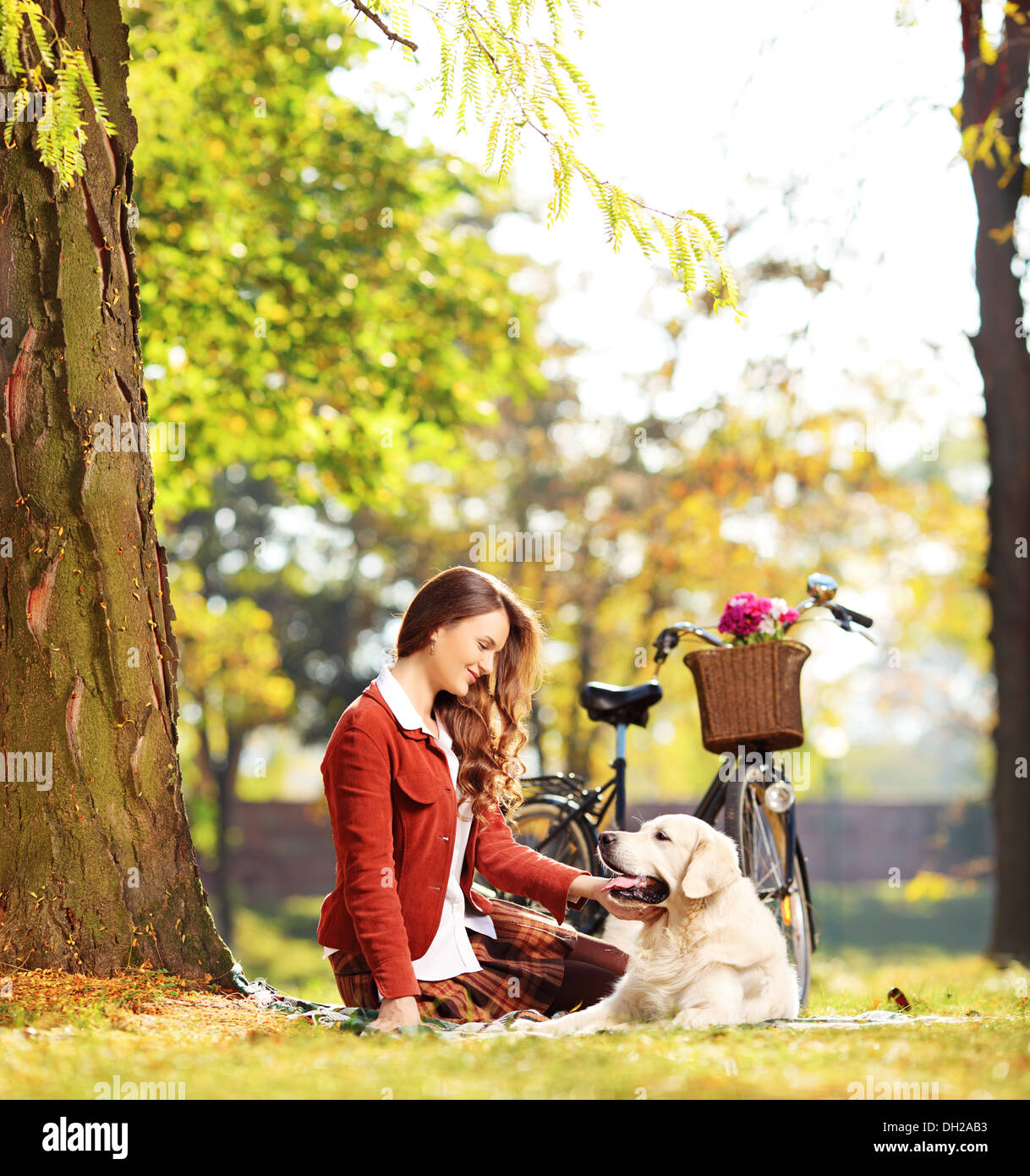 Bella donna seduta su un prato verde e guardando il suo labrador retriever cane in un parco Foto Stock