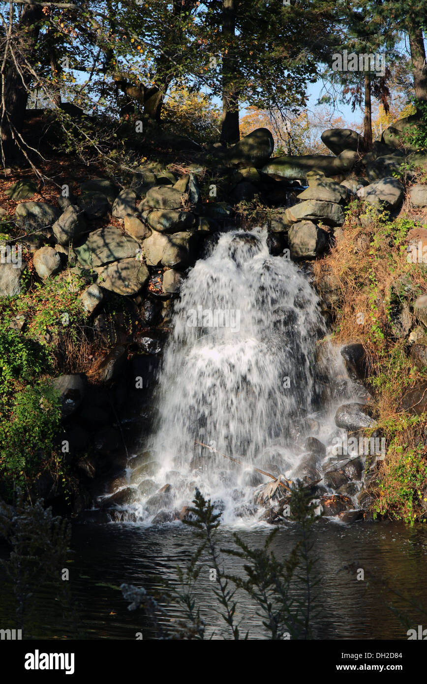 La cascata nel bosco. Foto Stock
