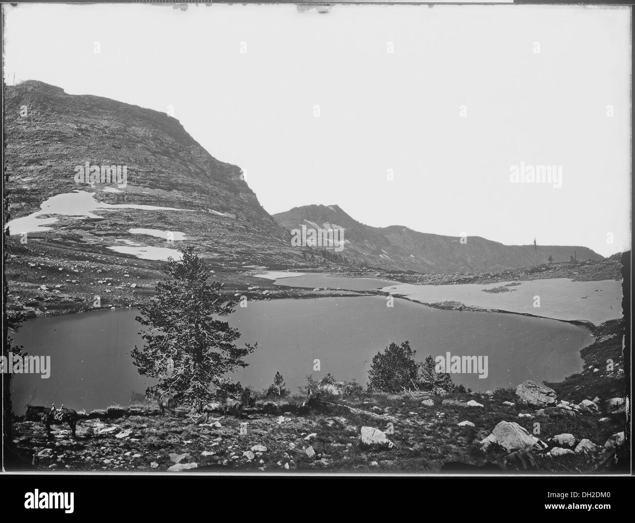 Il lago alpino nella parte orientale delle montagne Humboldt del Nevada offre viste panoramiche e funge da risorsa naturale di acqua dolce in un ambiente montagnoso aspro. Foto Stock