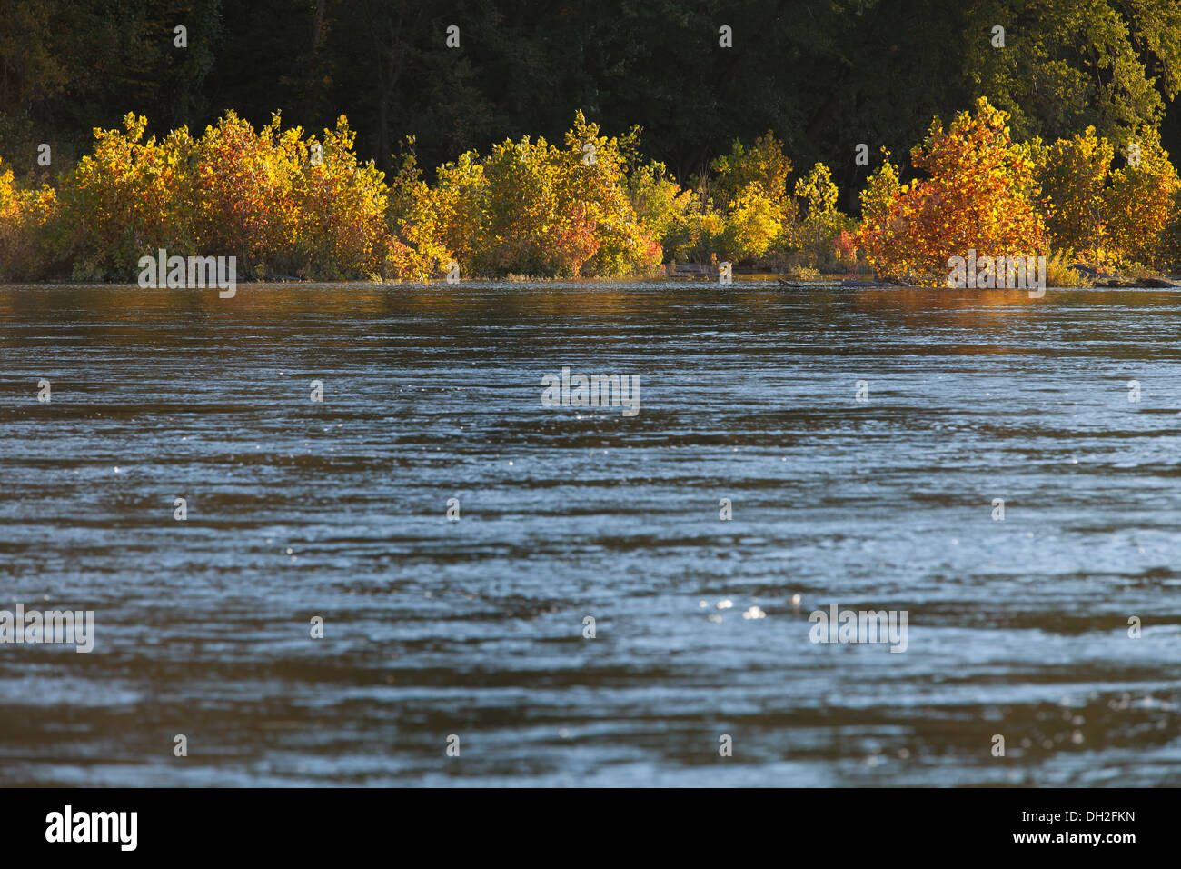 Acqua alta sul fiume Shenandoah - West Virginia, Stati Uniti d'America Foto Stock