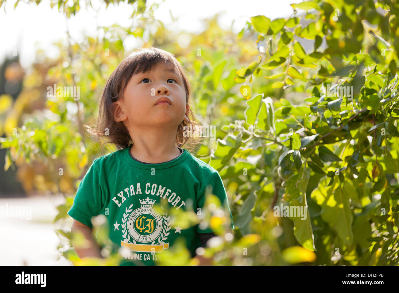 3 anno vecchio ragazzo asiatico esplorando in giardino Foto Stock