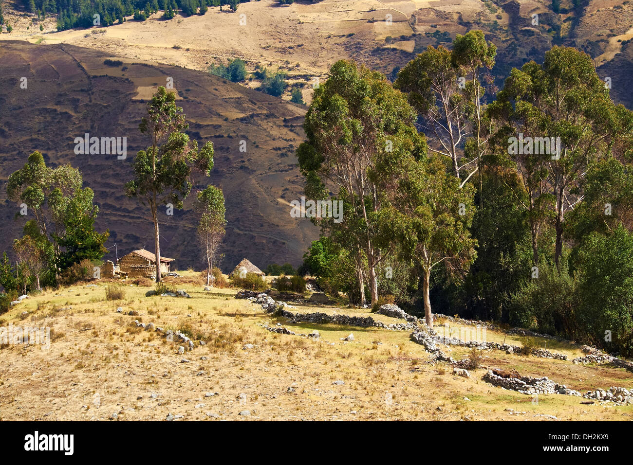 Adobe tradizionale insediamento nel parco nazionale del Huascaran nelle Ande, Sud America. Foto Stock