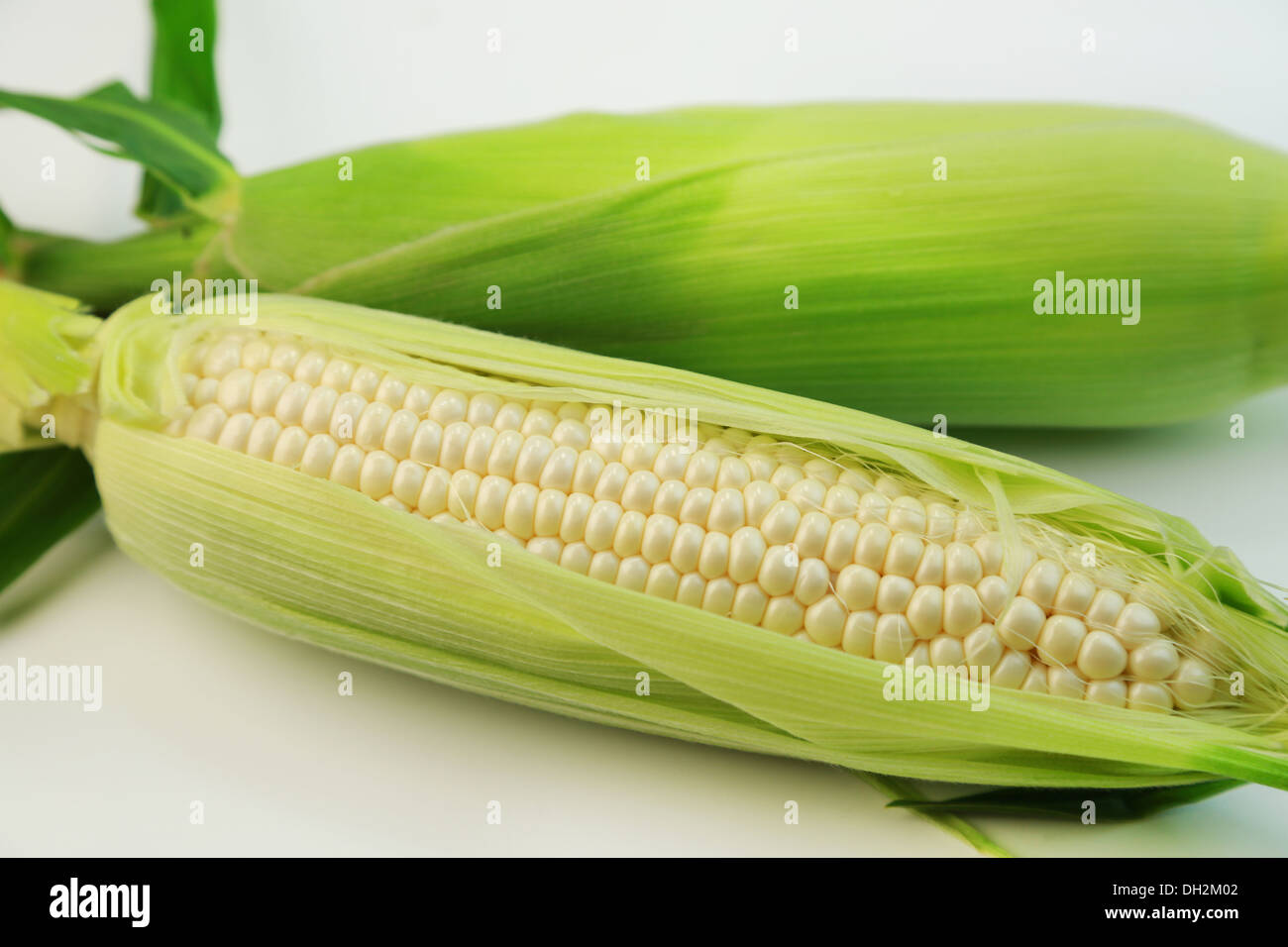 Bianco puro di mais Foto Stock