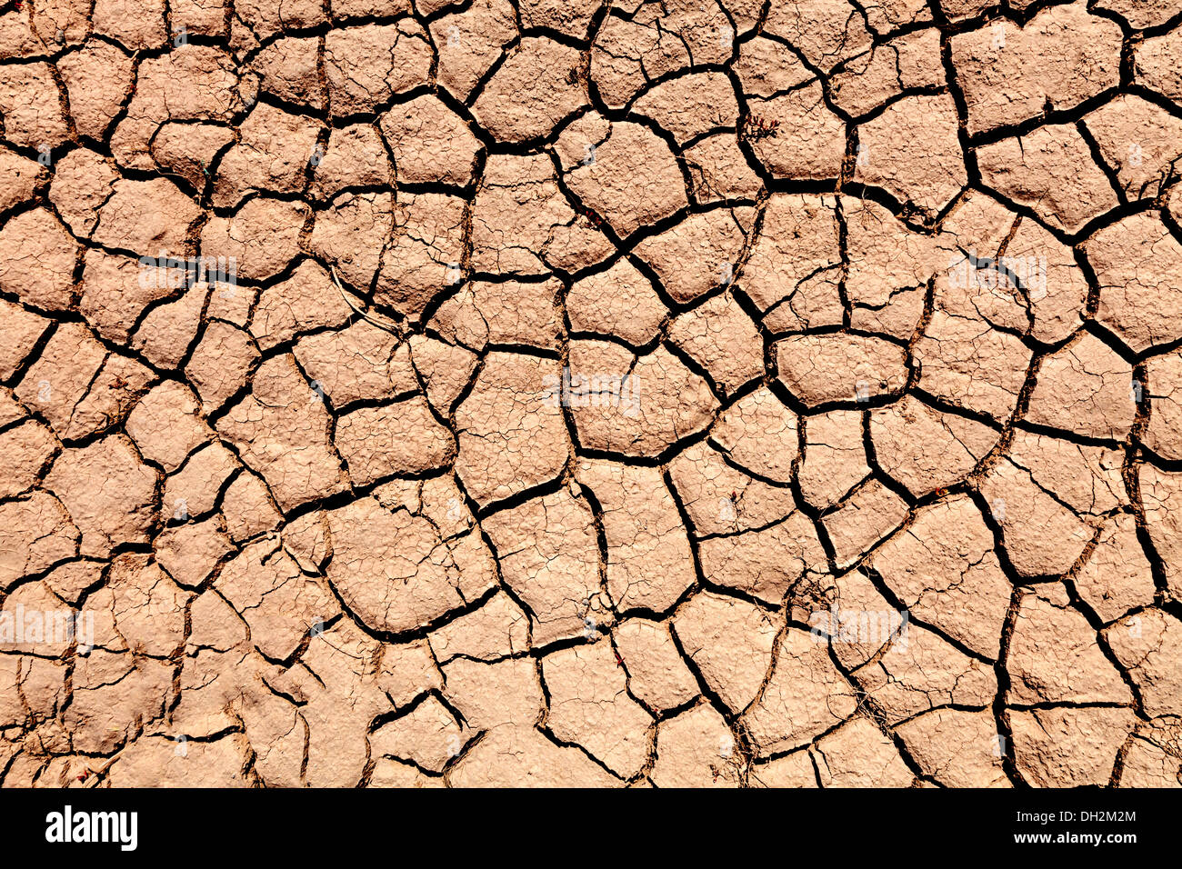 Arido suolo durante la siccità Foto Stock