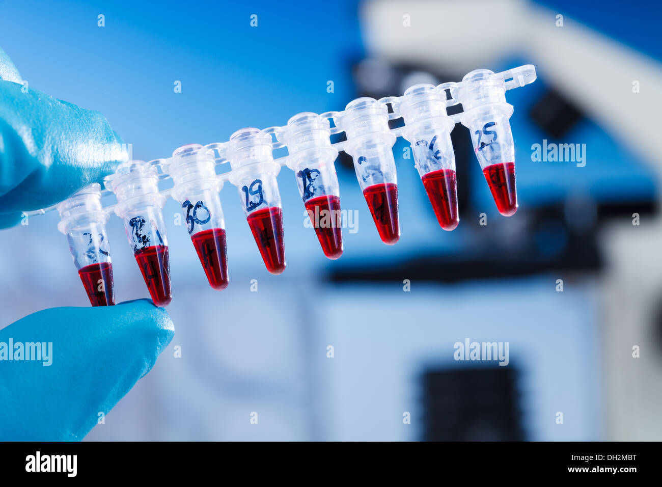 Forniture di PCR per la ricerca genetica Foto Stock