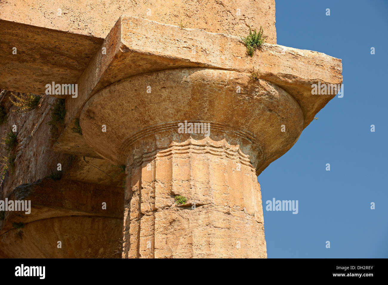 In prossimità dell'antico greco dorico capitelli e colonne del tempio di Hera di Paestum costruito in circa 460-450 A.C. Paestum archa Foto Stock