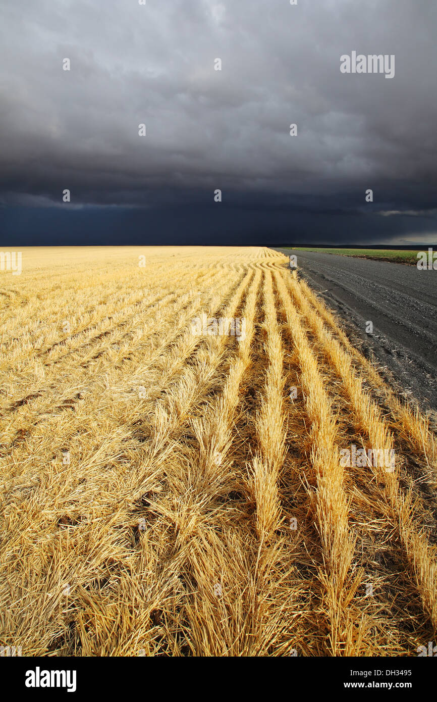 Il tuono-storm in Montana inizia Foto Stock