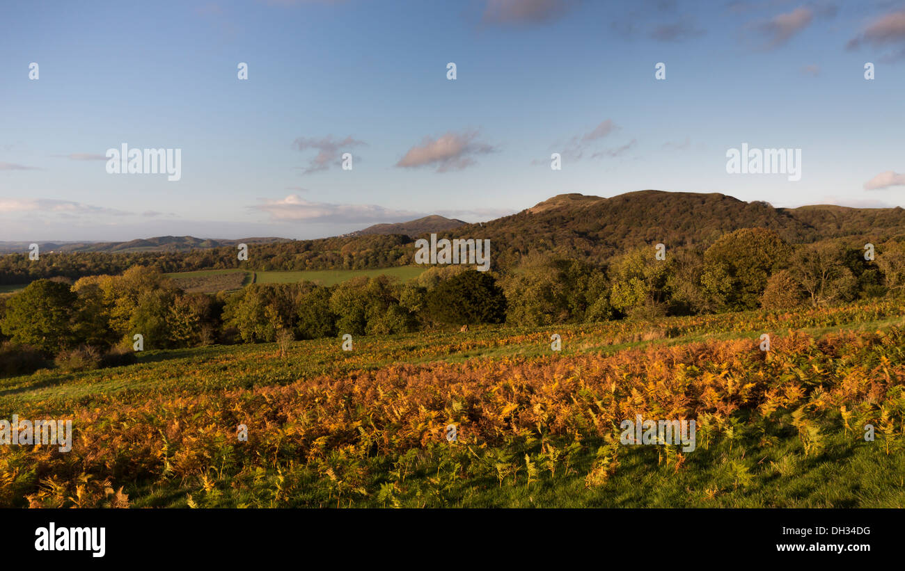Una vista della Malvern Hills da Eastnor Park, Inghilterra Foto Stock