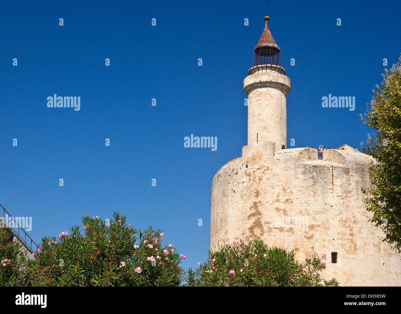 La torre di Tour Constance Foto Stock