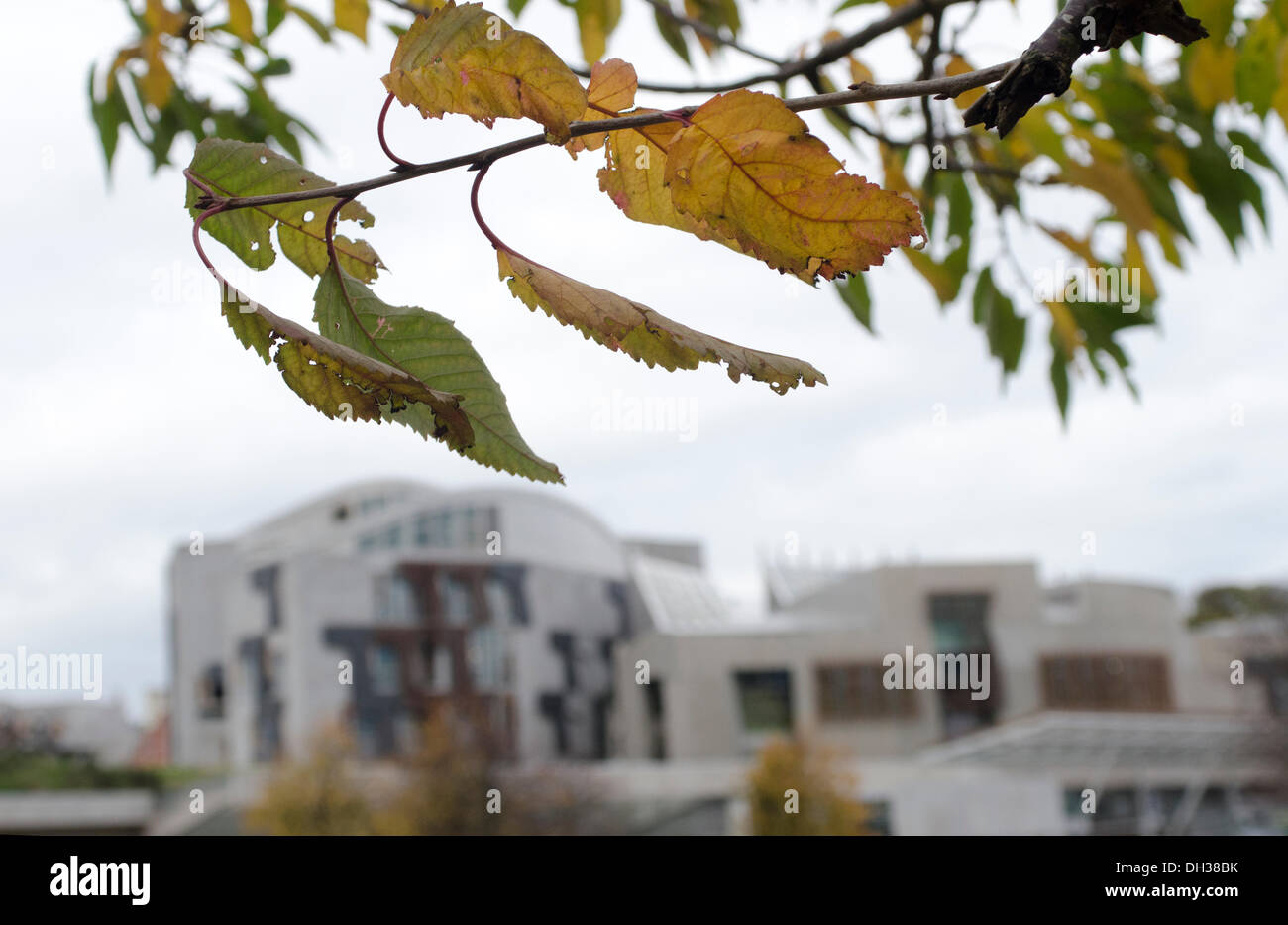 Vista esterna del Parlamento scozzese a Holyrood a Edimburgo in autunno. Il British Home Secretary Teresa maggio, parlando come l'Home Office pubblicato l'ultimo governo britannico di carta di analisi sulle implicazioni di indipendenza, detto Scozia perderebbe un accesso automatico a MI5, MI6, GCHQ e la nuova criminalità nazionale agenzia. Il voto referendario è prevista per il 18 settembre 2014. Foto Stock