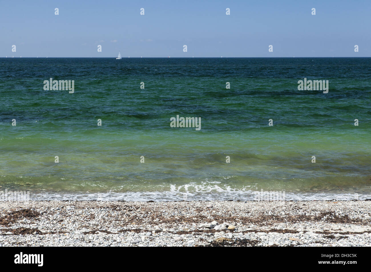 Costa Fehmarn Foto Stock