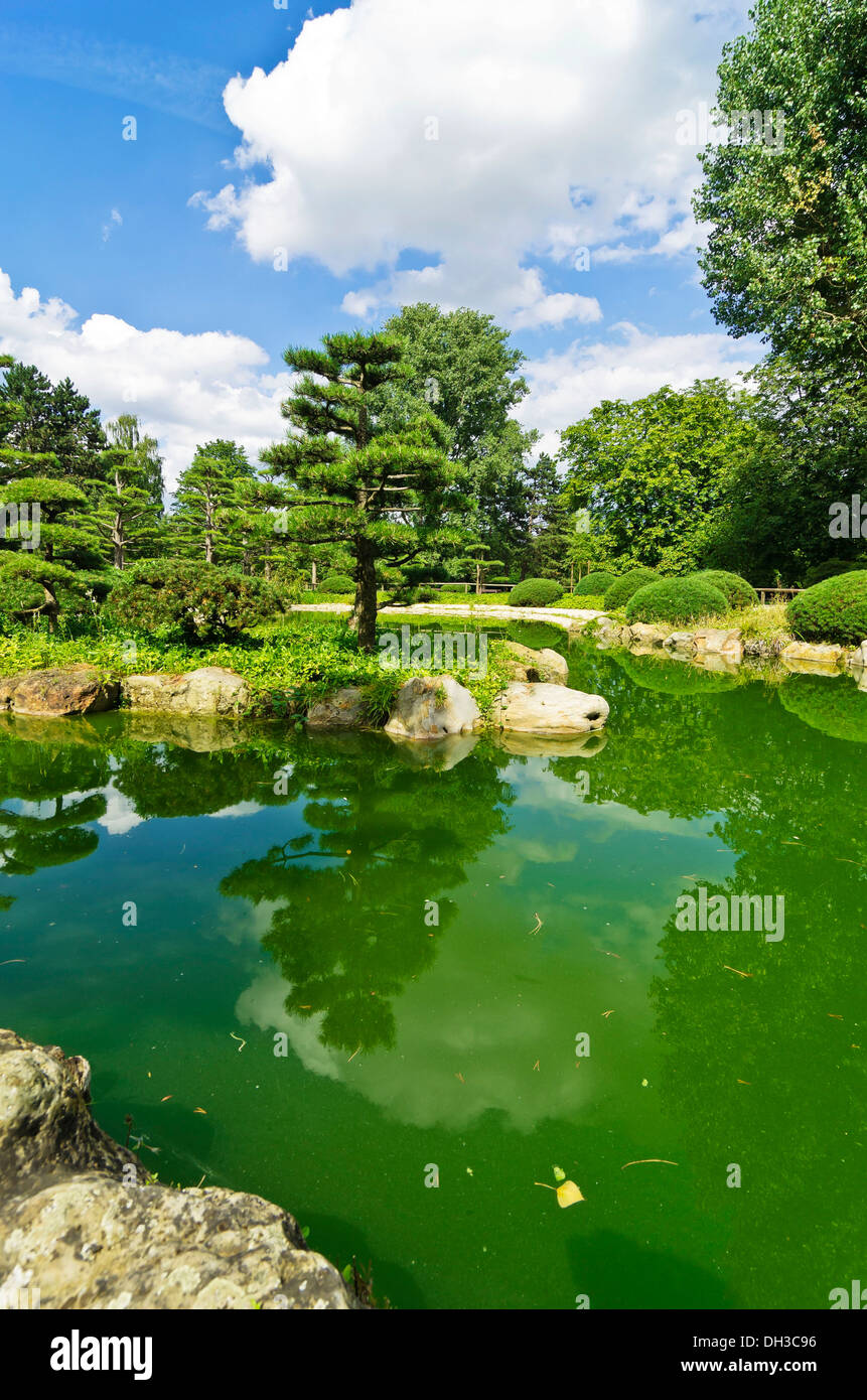 Il giardino giapponese nel Nordpark giardino, Duesseldorf, nella Renania settentrionale-Vestfalia Foto Stock