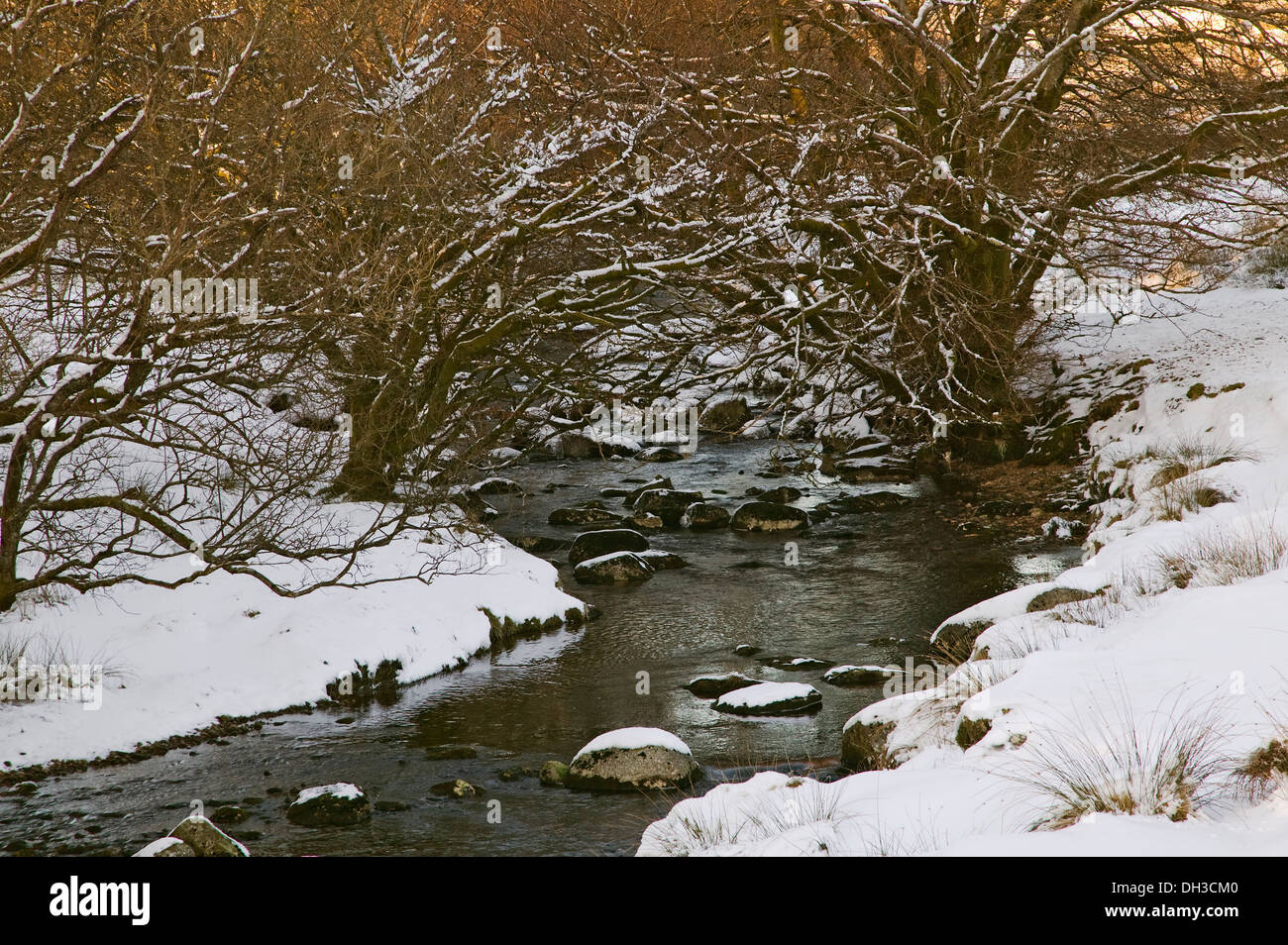 A ovest del fiume Dart nella neve, a due ponti, Parco Nazionale di Dartmoor, Devon, Gran Bretagna. Foto Stock
