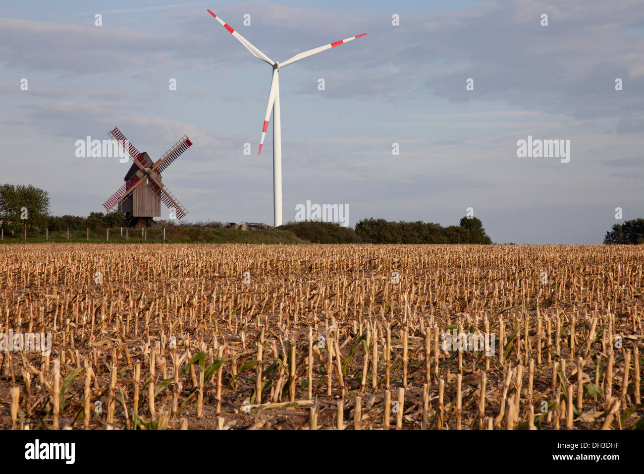 Il mulino a vento e una turbina eolica, fotomontaggio, Bad Düben, Authausen, Bassa Sassonia, Germania Foto Stock