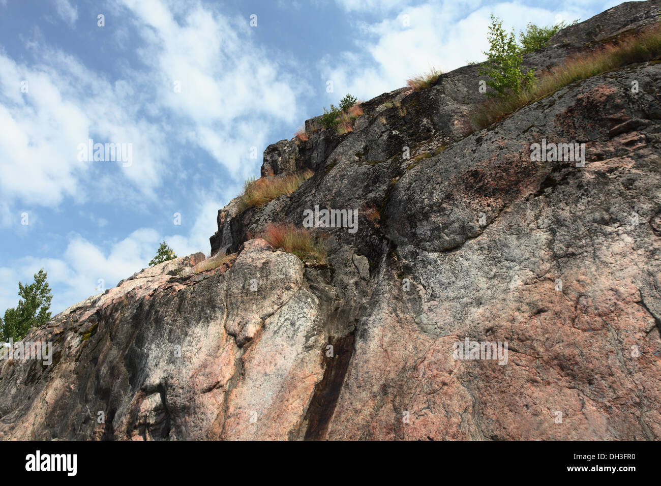 Gli alberi su una roccia verticale contro il cielo blu Foto Stock