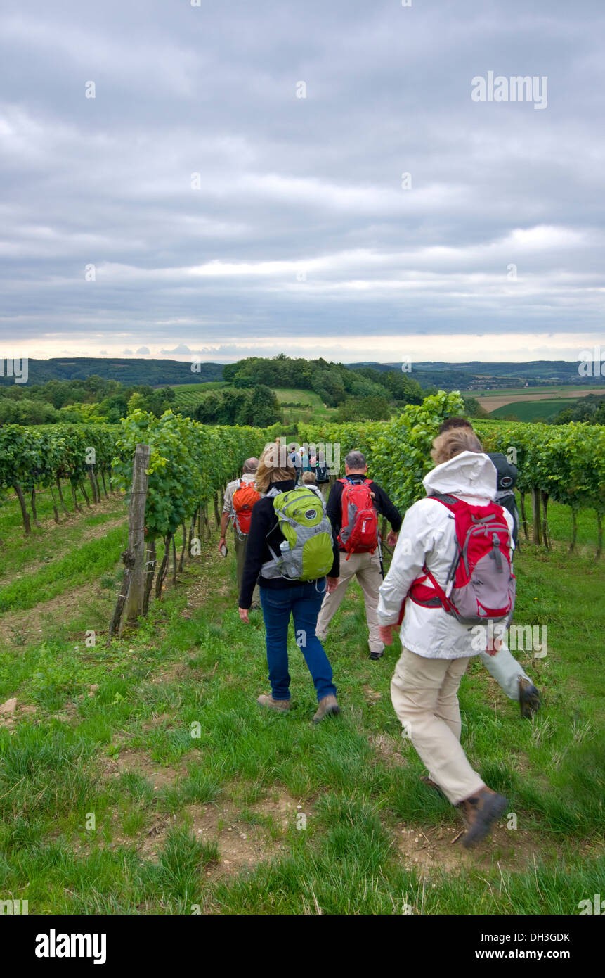 Gli escursionisti godetevi i vigneti dell'Austria lato paese Foto Stock