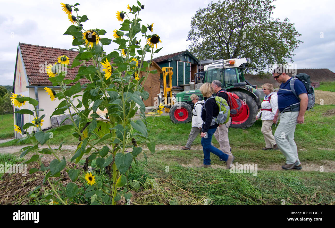 Gli escursionisti godetevi il paese corsie della Repubblica ceca Foto Stock