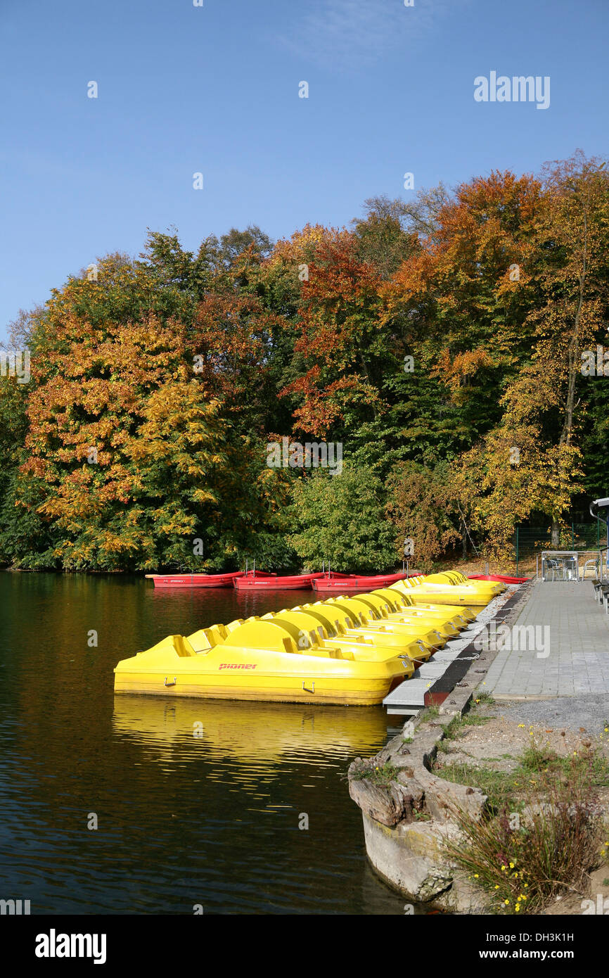 Noleggio barche, autunno nella zona ricreativa sul decksteiner weiher lago, Colonia, NORDRHEIN-WESTFALEN, Germania Foto Stock