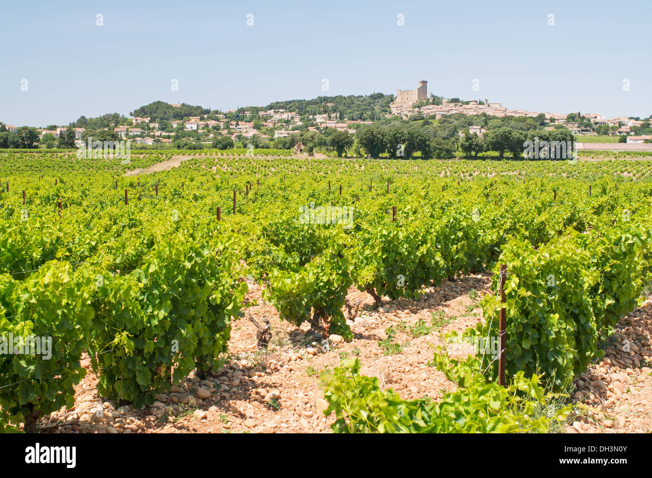 Il villaggio francese di Châteauneuf-du-Pape visto sopra i vigneti, Francia, Europa Foto Stock