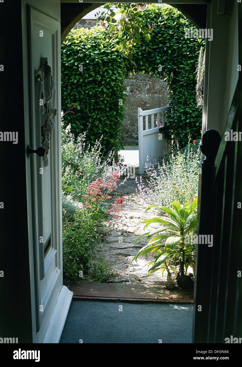 Porta aperta al Garden cottage con lavanda e rosa valeriano su entrambi i lati del percorso di pietra per il cancello aperto al di sotto di edera arch Foto Stock