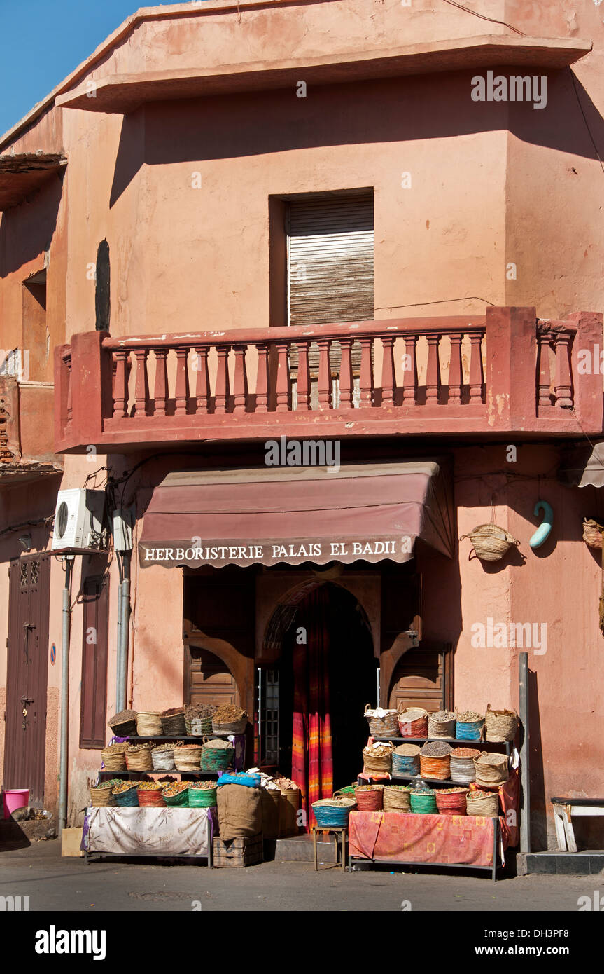 Marrakech droghiere erbe aromatiche spezie mercato stagione Marocco Foto Stock