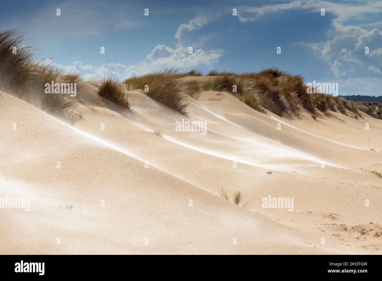 Soffiata dal vento dune di sabbia con cielo tempestoso, Foto Stock