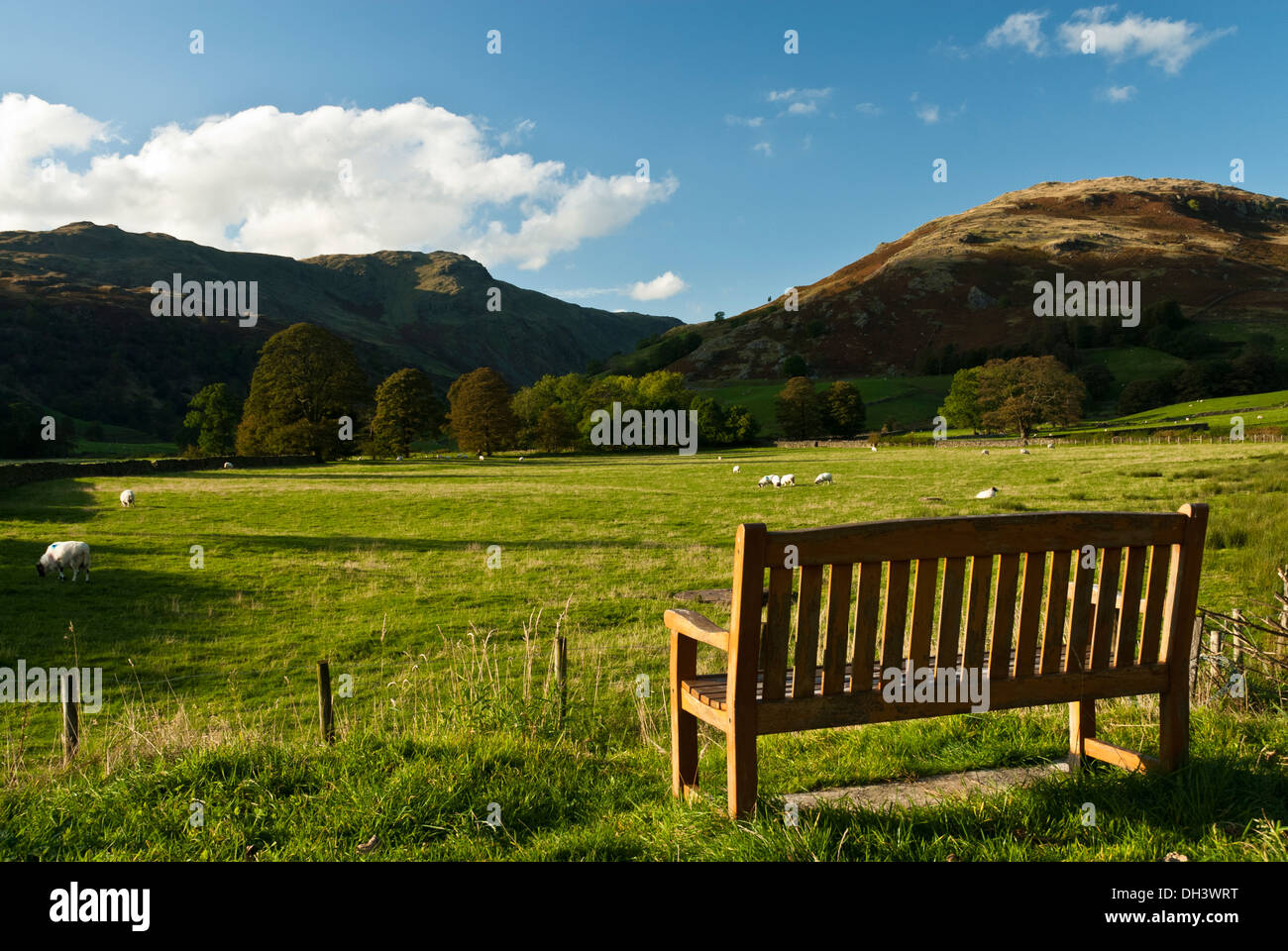 Banco vuoto con una vista pittoresca su un fondo valle dei campi con pecora in loro di aspre colline pennini Foto Stock