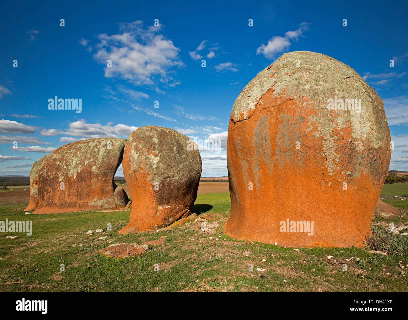 Murphy's haystacks - rosso giganteschi massi di granito, una attrazione turistica su terreno coltivato nei pressi di Ventresche Bay sulla penisola di Eyre SA Foto Stock