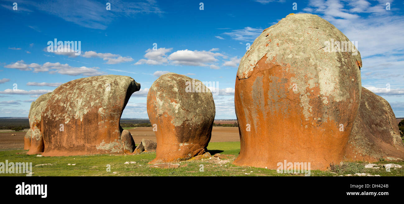 Murphy's haystacks - rosso giganteschi massi di granito, una attrazione turistica su terreno coltivato nei pressi di Ventresche Bay sulla penisola di Eyre SA Foto Stock