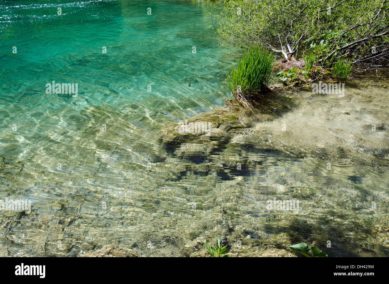 La molla azzurro limpido lago trasparente. Laghi di Plitvice, Croazia Foto Stock