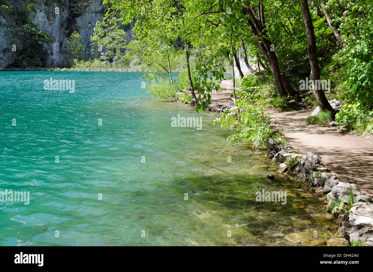 Percorso da un lago in laghi di Plitvice, Croazia. L'acqua è così pulita di un pesce che può essere visto Foto Stock